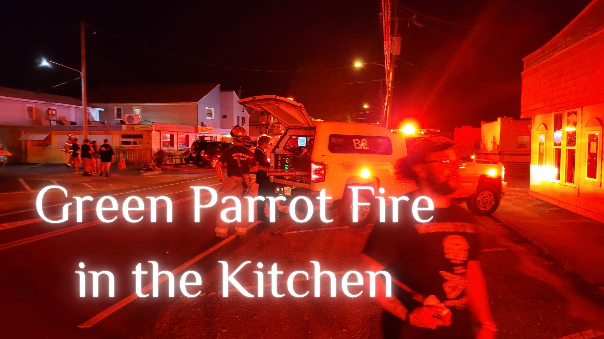 Green Parrot Fire in the Kitchen (Chic’s Beach Virginia Beach)